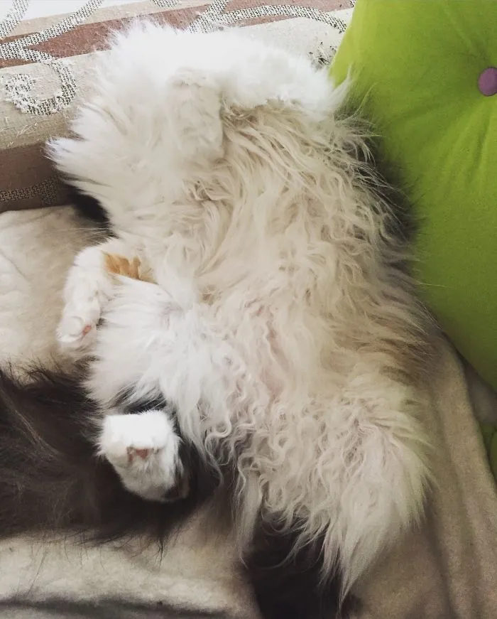 Where Is Her Head?