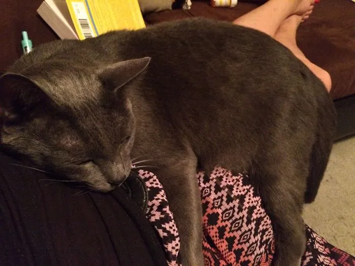 Buddy After I Got Home From Work...he Missed Me!!