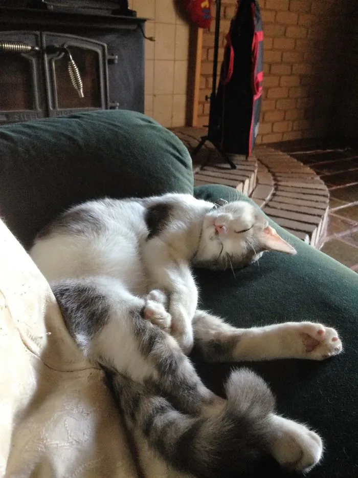 Relaxed