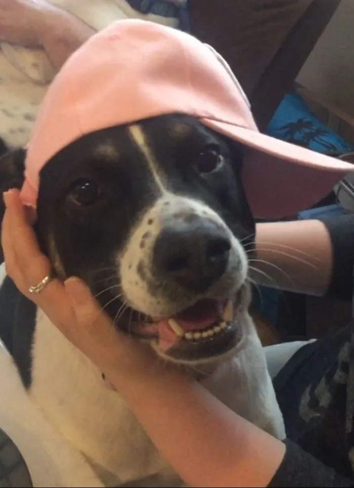 What Kind Of Dog?