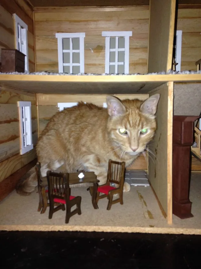 My House Now