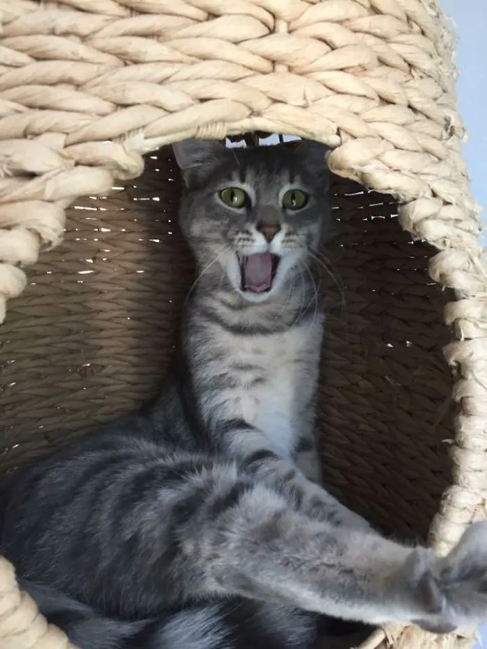 She Looks Like Someone Walked In On Her Showering.