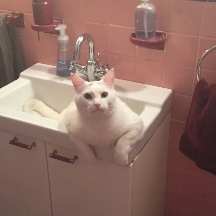 He Would Be Sitting There Observing Me Showering Every Day...
