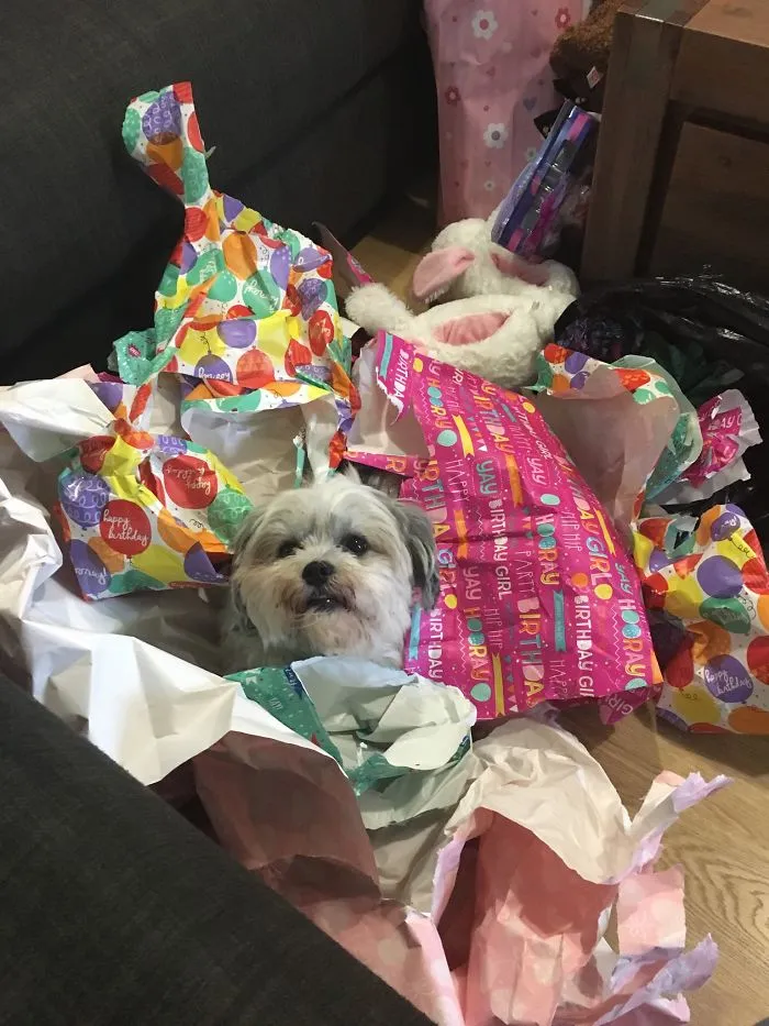 What Wrapping