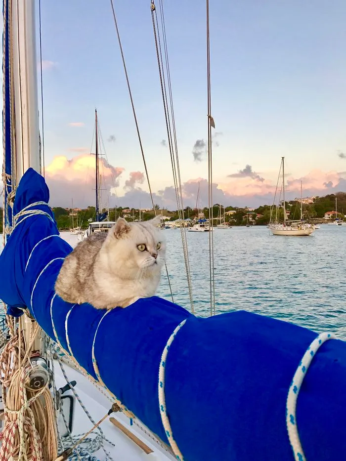 Crew On The Yacht