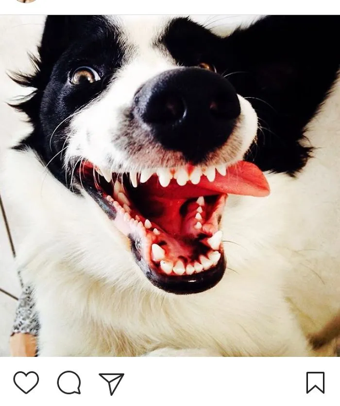 Silly Boy