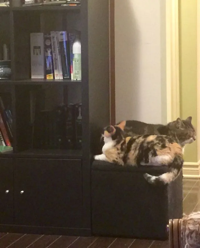 So They Can Both Fit...