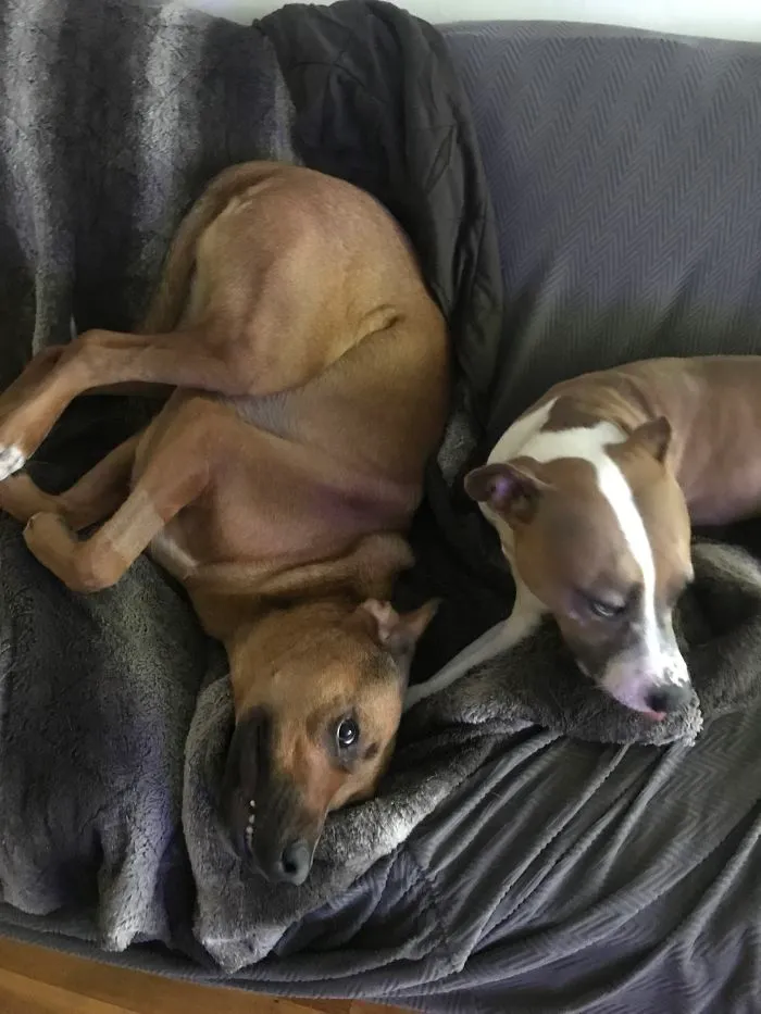 Silly Kirby And Mim
