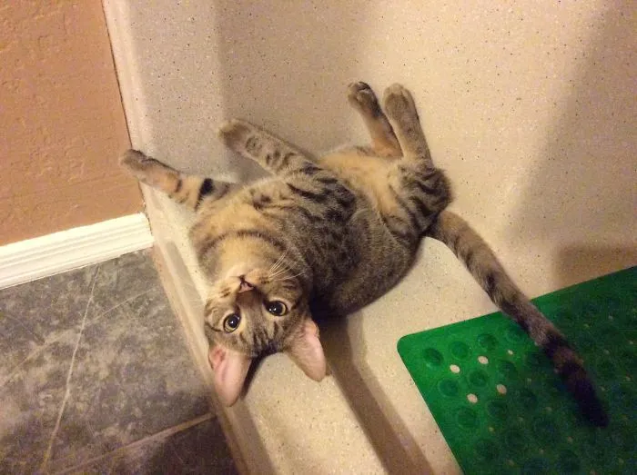 Mischa Really Likes The Shower.