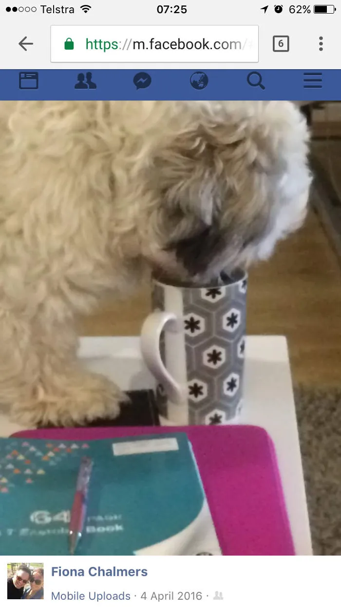 Must Have Coffee