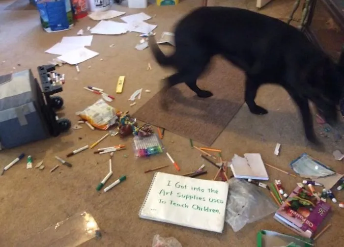 He Just Wanted To Express His Creativity! (no Remorse) (none!)