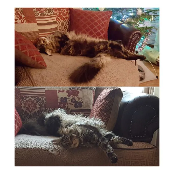 Comfort Level 100