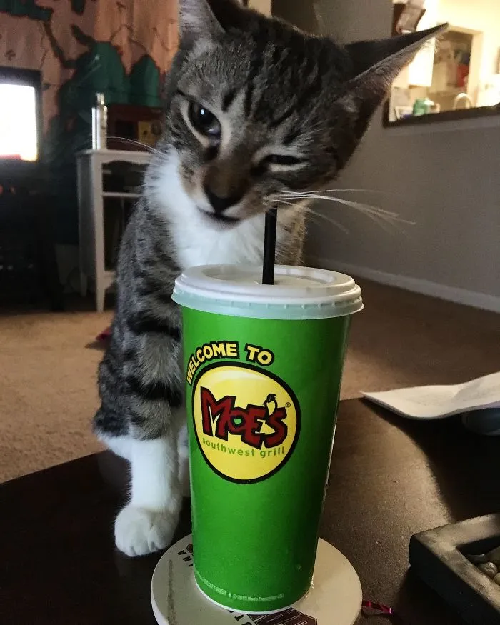 No Drink Is Safe