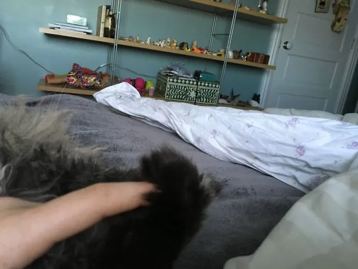 My Cat Holds My Finger So He Can Fall Asleep