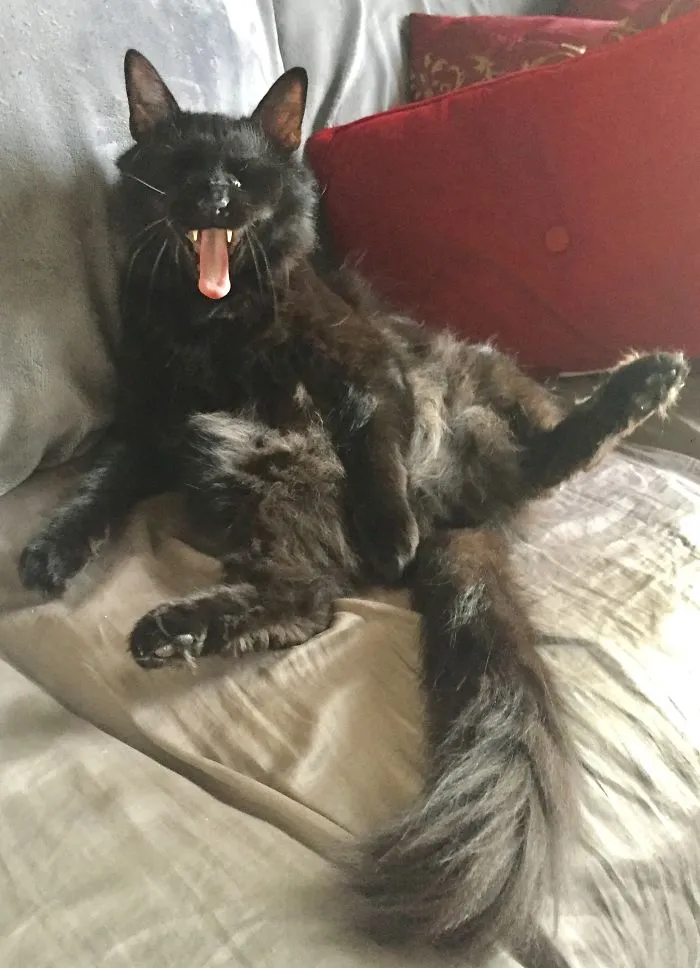 Oscar Being Oscar!