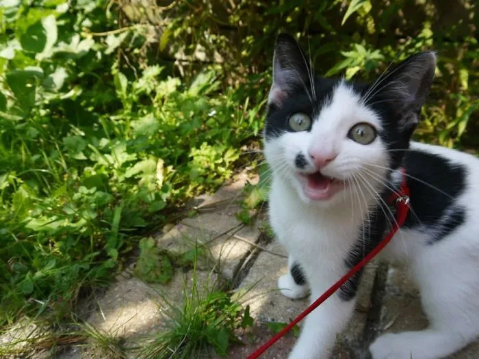First Time Outside