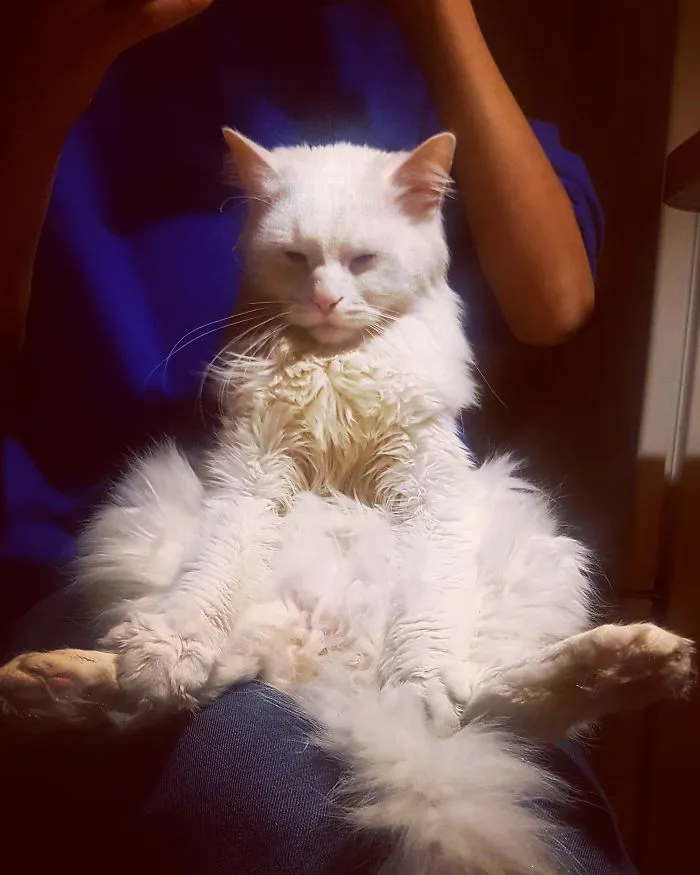 Taking Naps Like This
