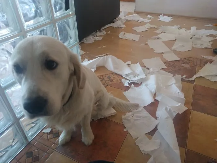 I Almost Died When This Paper Roll Blew Up. Just Like That!