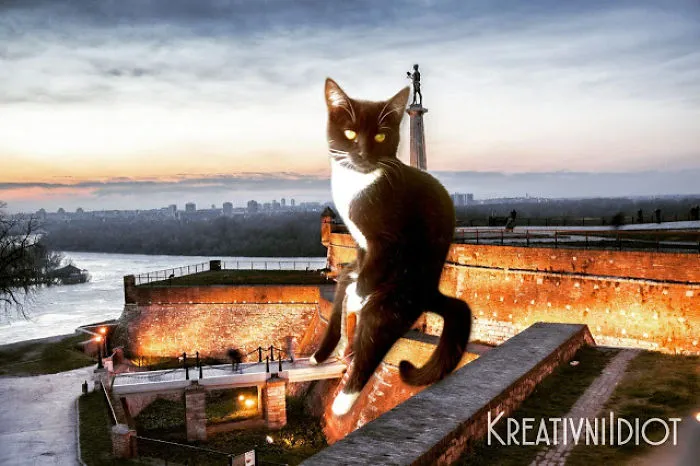 Belgrade Takeover