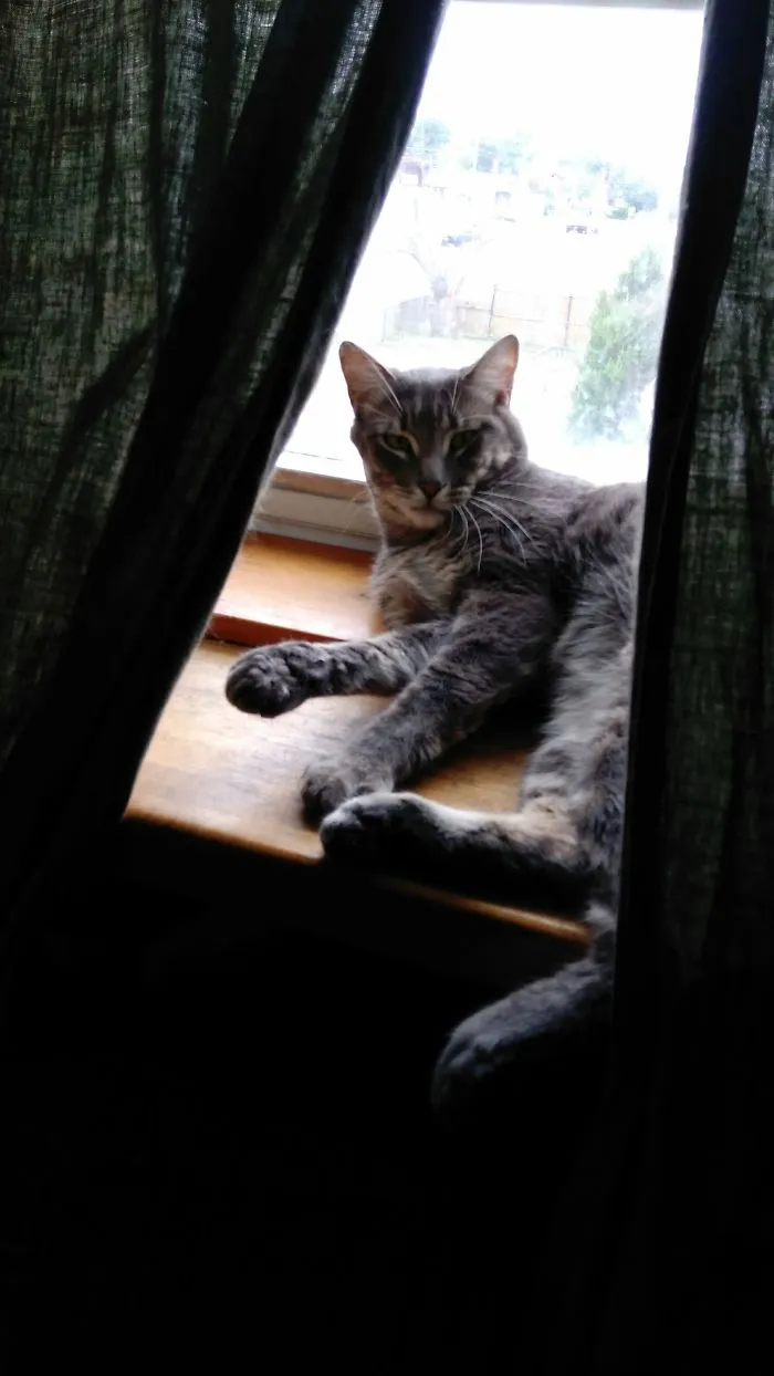 Window Nap Time.