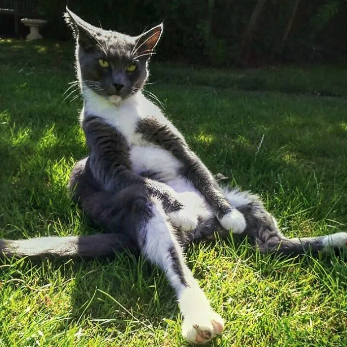 Erik Lounging In The Garden