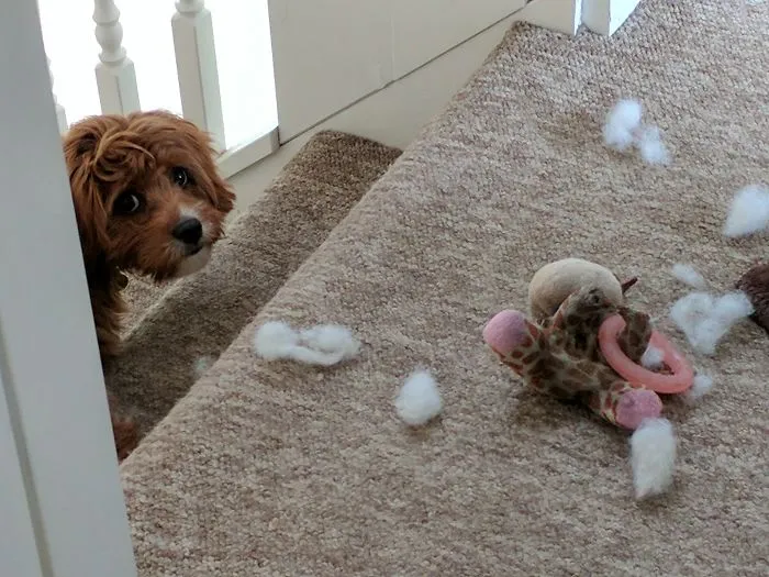 Oops....