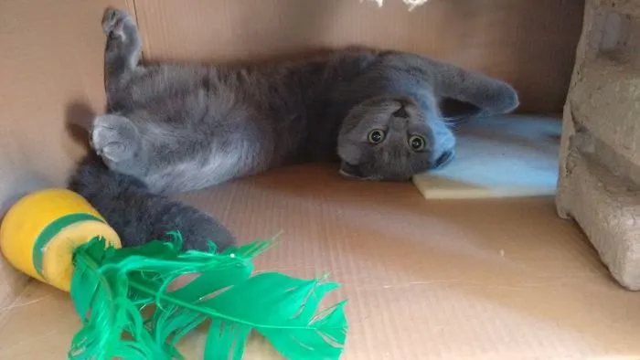 Meet Zhuvi "this Is Such A Comfy Position..."