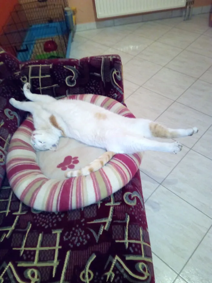 Sleeping