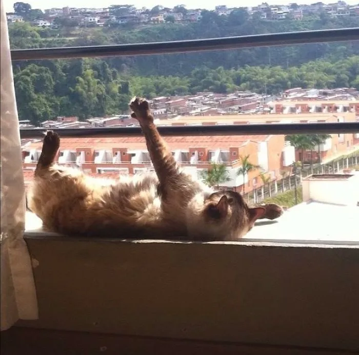 Jazz Hugging The Sun