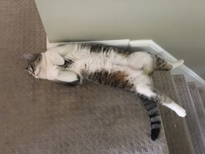At Least She Made It To The Top...