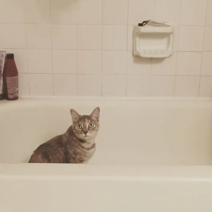 Bath Time?