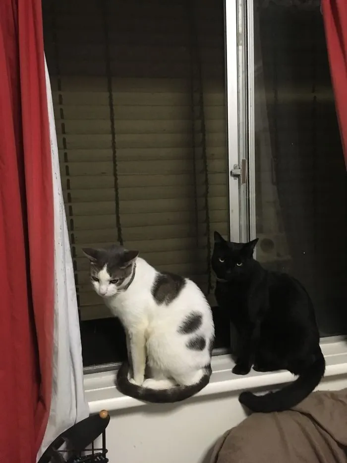 Brotherly Love