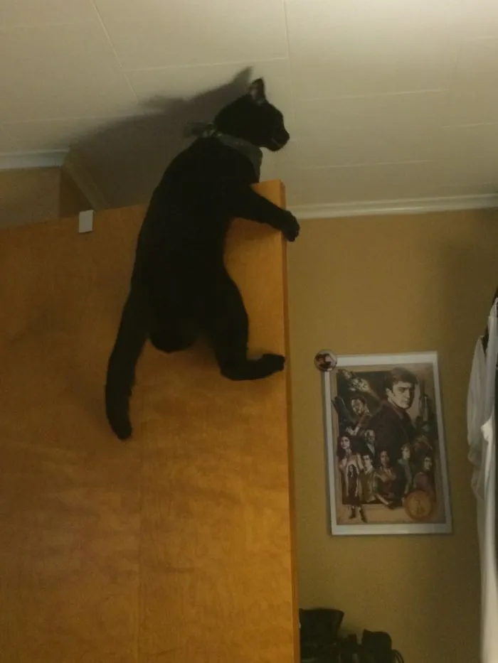 Salem - Just Hanging Around.