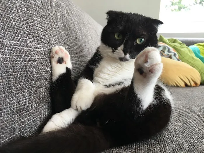 Just Chillin'