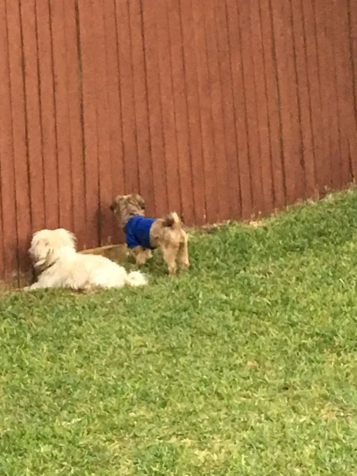Stalking The Neighbors Lol