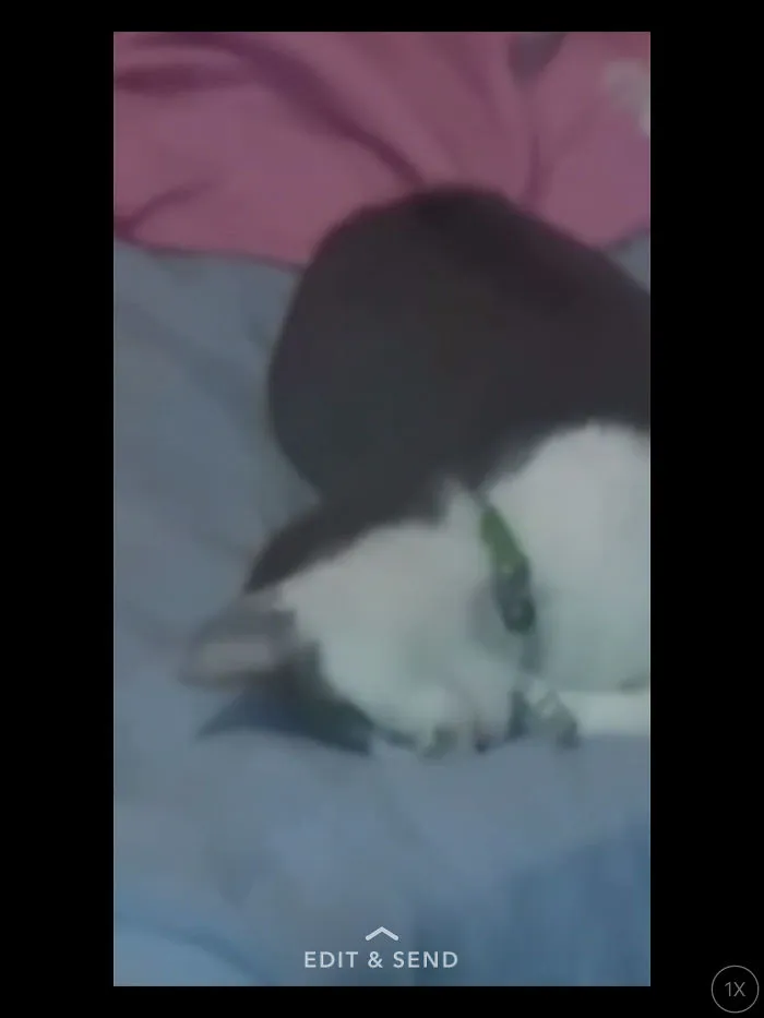 Just Taking A Nap