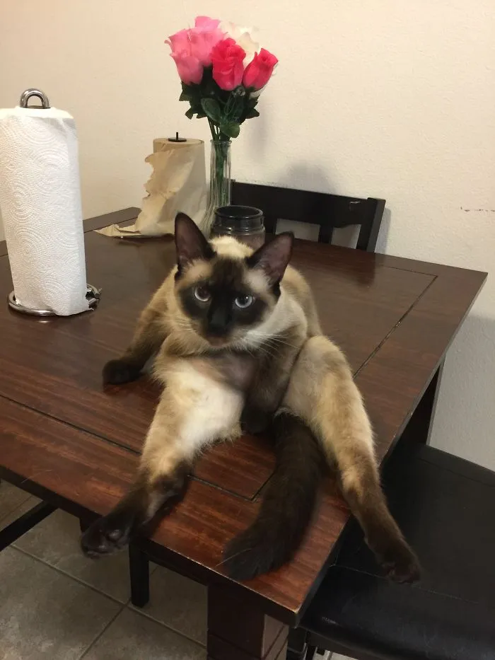 This Is Dory She's Just Crazy 😜