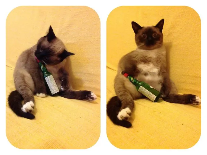 She Didn't Know It's A Fake Whisky...