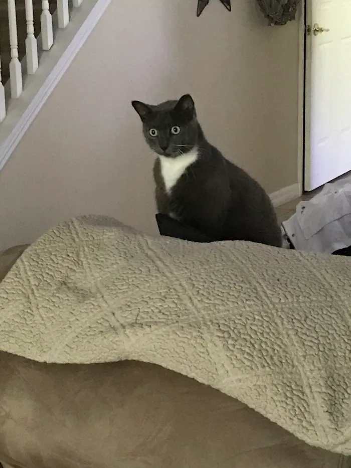 You'd Think It Was Her First Time Seeing A Dog But No... Meet Sparkles!