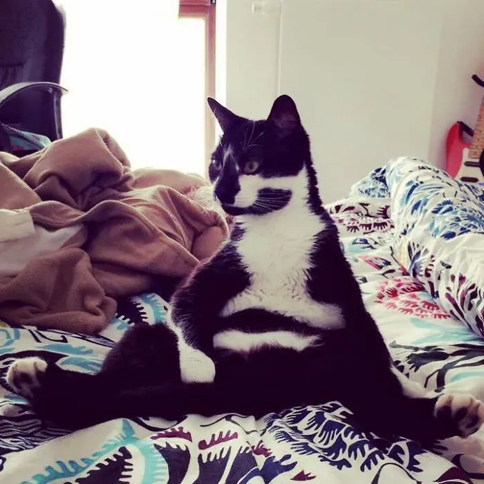 He's Always Like This After Clean Up His Belly