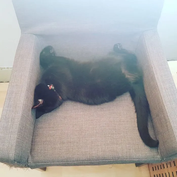 Came Home And Found Her Like This