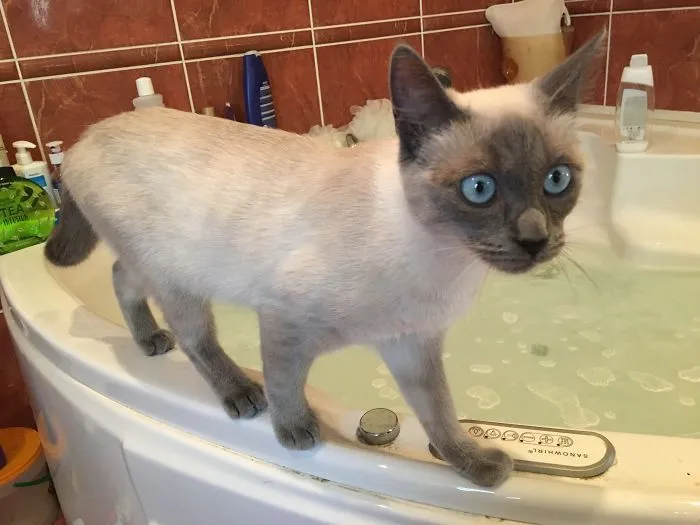 Taking A Bath