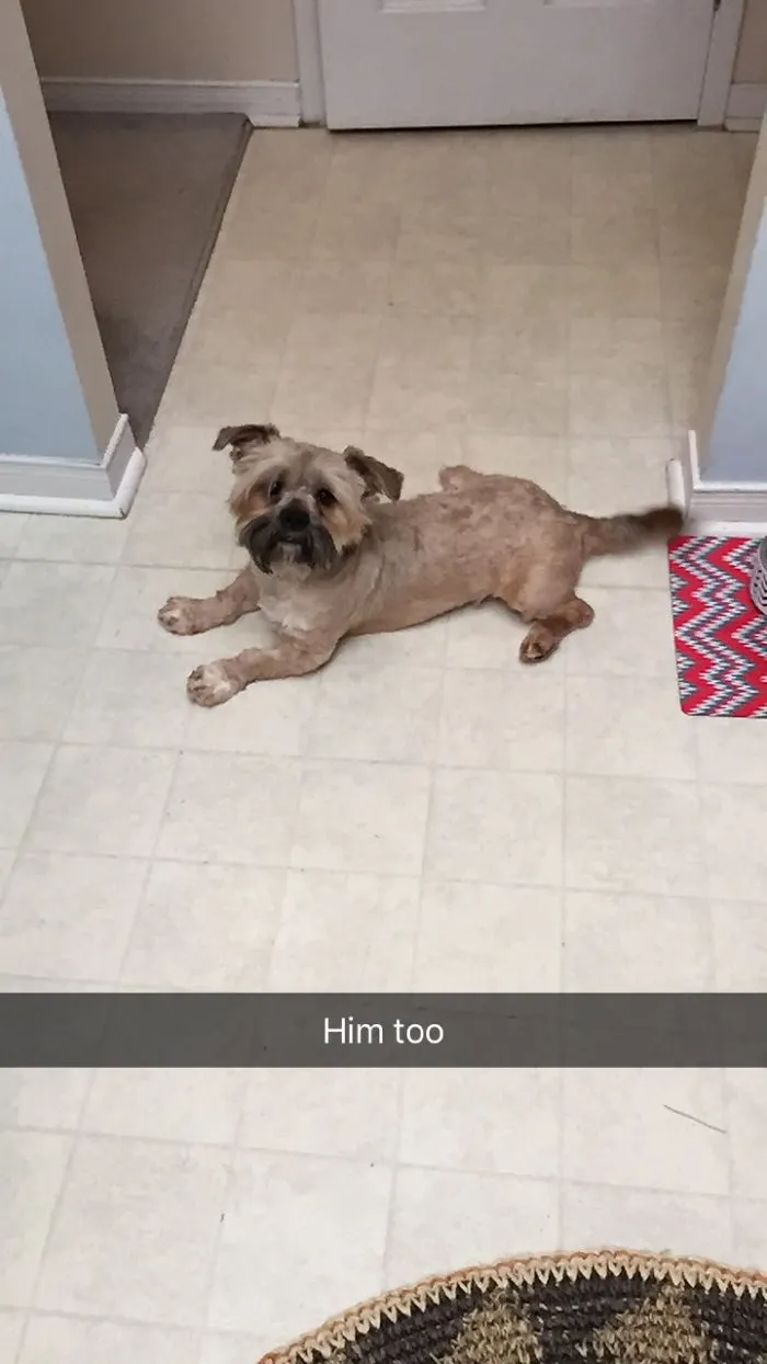 He Thinks He's A Frog
