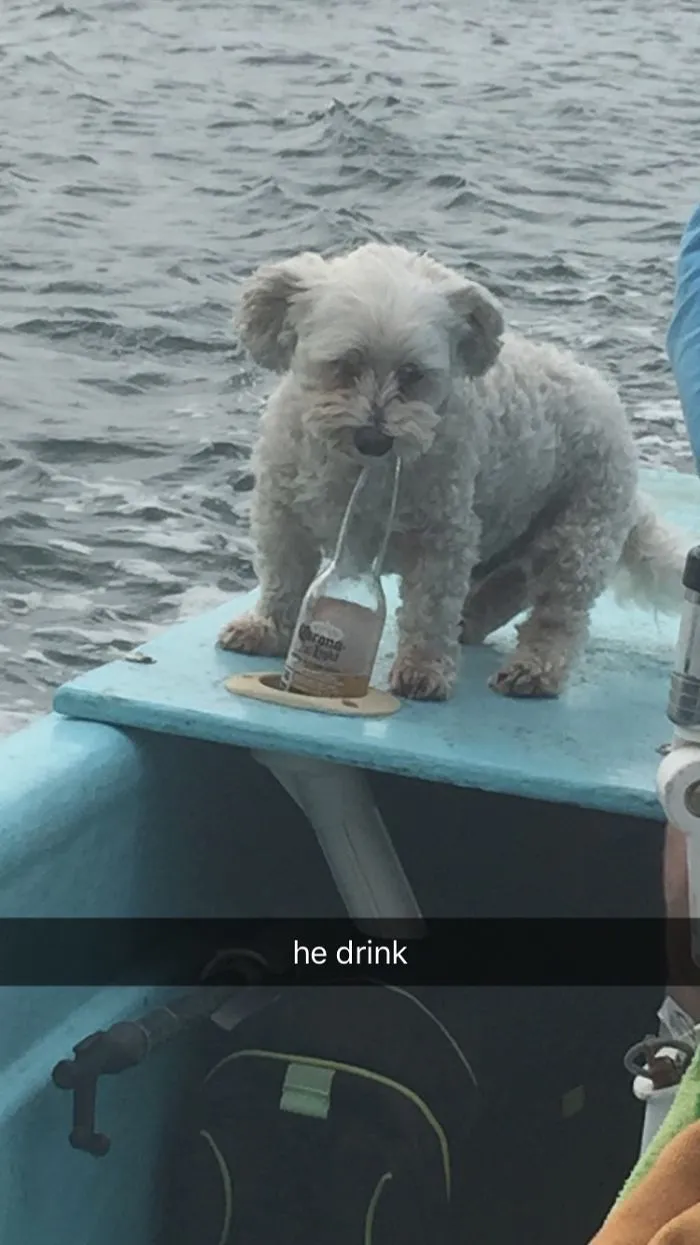 Caught Him Trying Some Of Dad's Beer.
