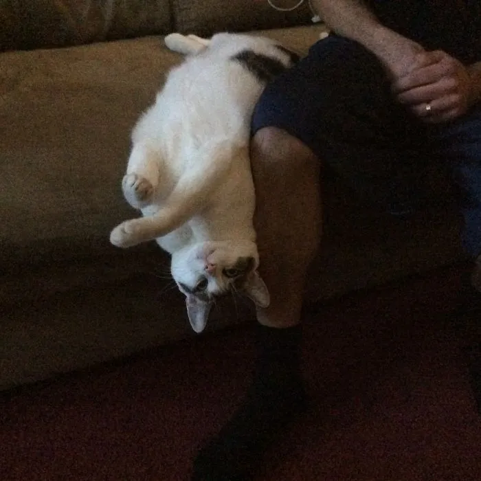 Watching Tv