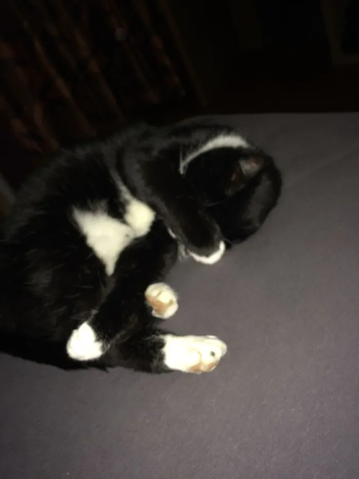 No Photos Dude