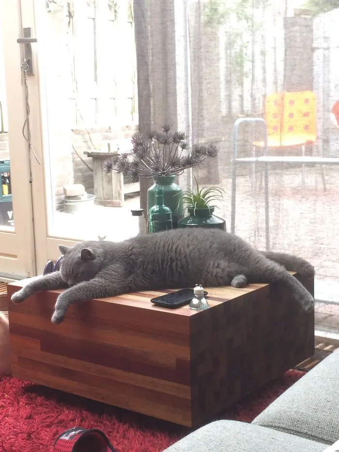 Hard Day Of Work