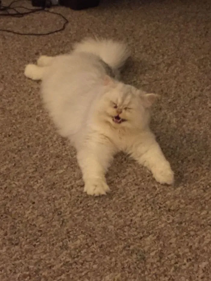 I Told Him A Really Funny Joke 😏