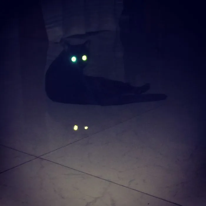 My Miku Scares The Hell Out Of Me Sometimes