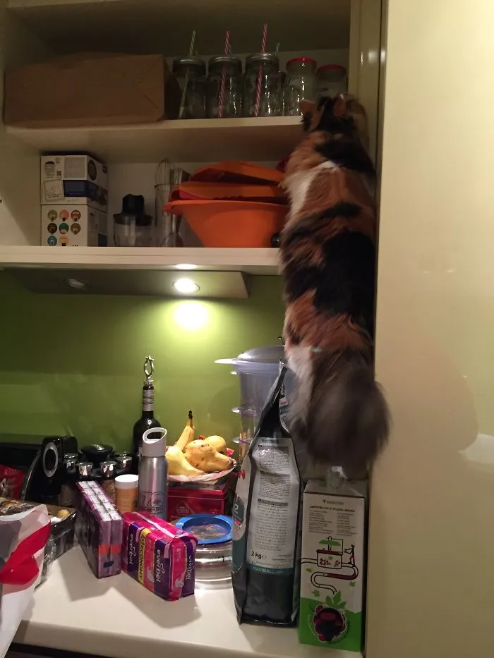She Owns The House
